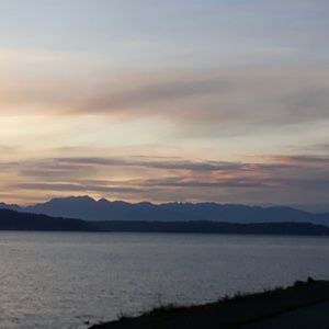 Meet your Posher, Terry